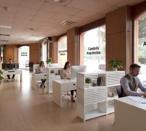 ceicow boxes gent